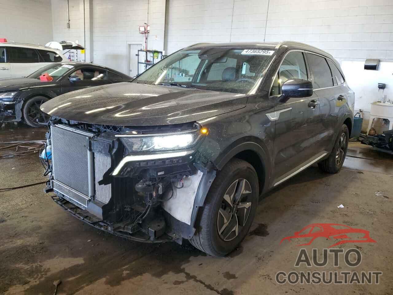 KIA SORENTO 2022 - KNDRH4LG3N5069680