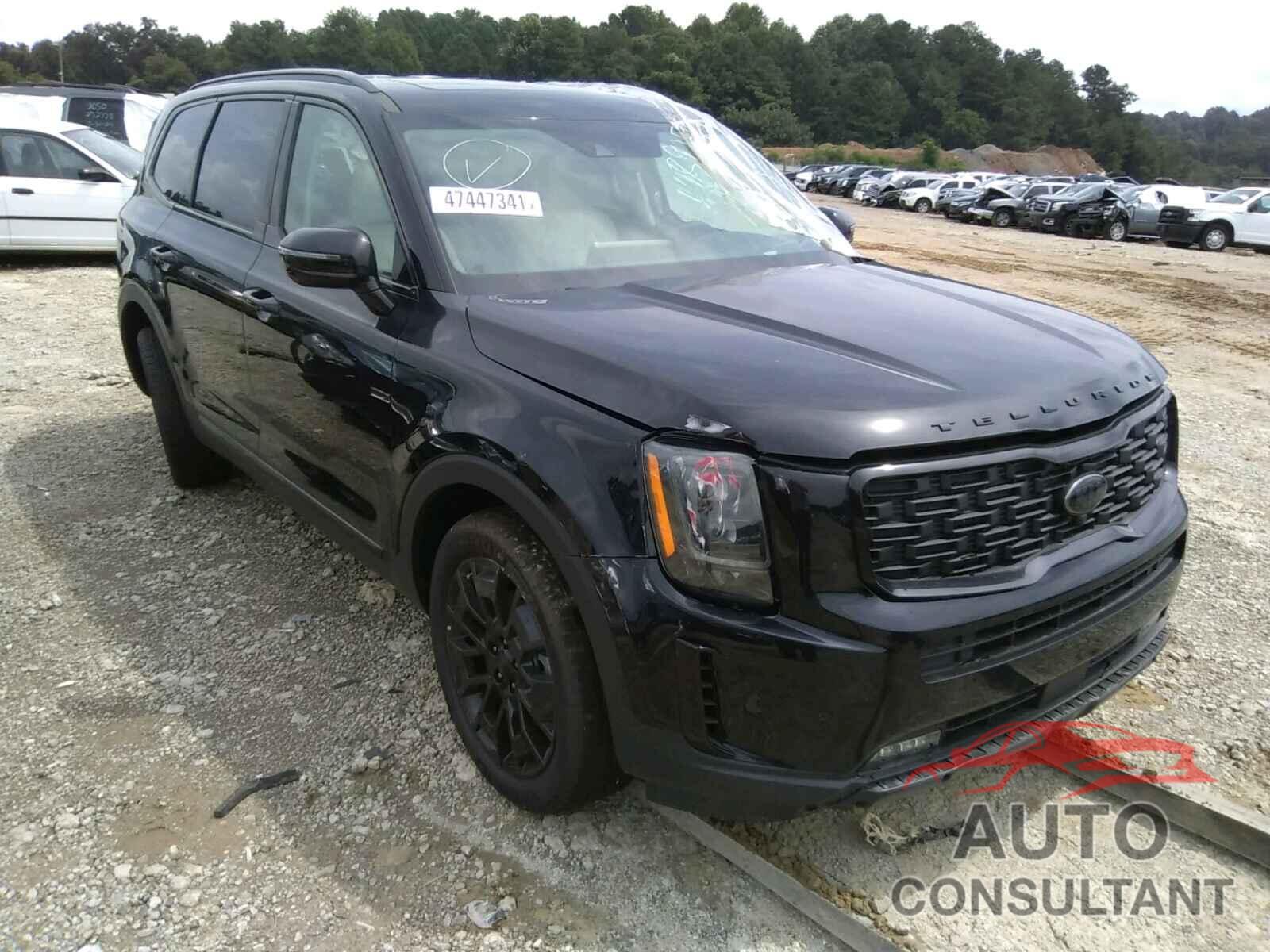 KIA TELLURIDE 2021 - 5XYP5DHC7MG189154