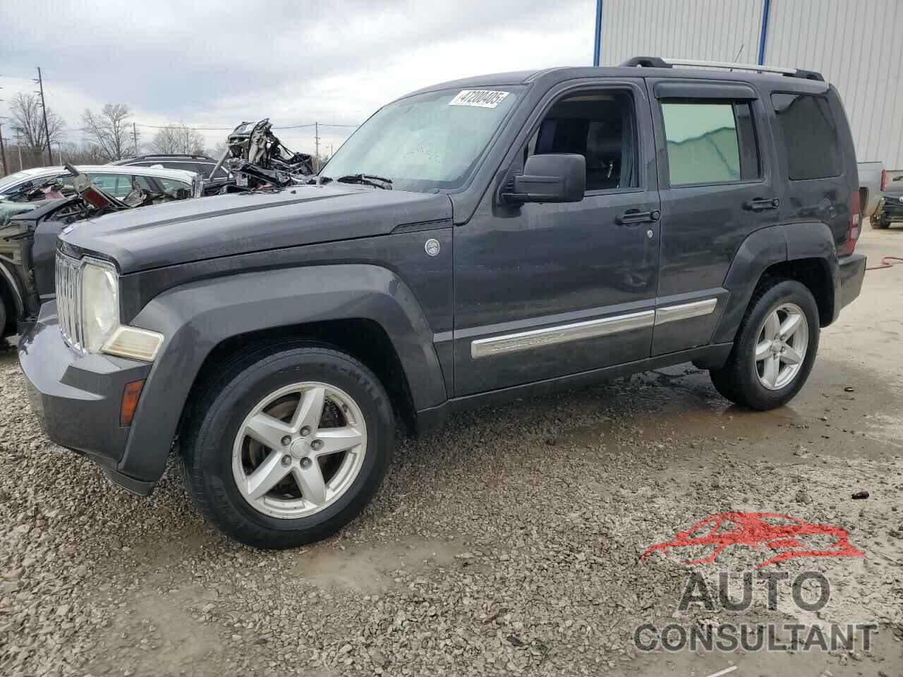 JEEP LIBERTY 2011 - 1J4PN5GK5BW546081