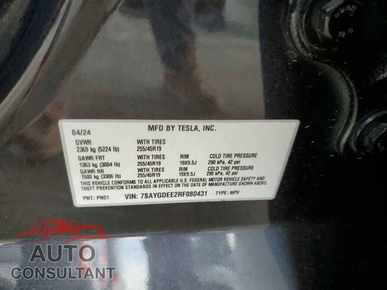 TESLA MODEL Y 2024 - 7SAYGDEE2RF080431