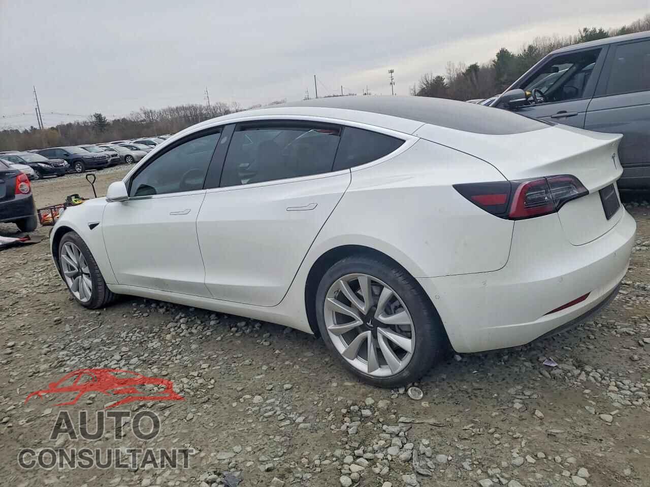 TESLA MODEL 3 2019 - 5YJ3E1EB3KF195594