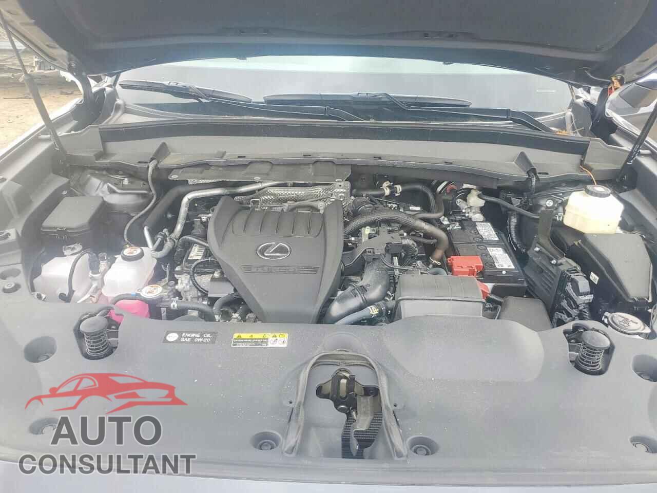 LEXUS UNKNOWN 2025 - 5TDAAAB6XSS042894