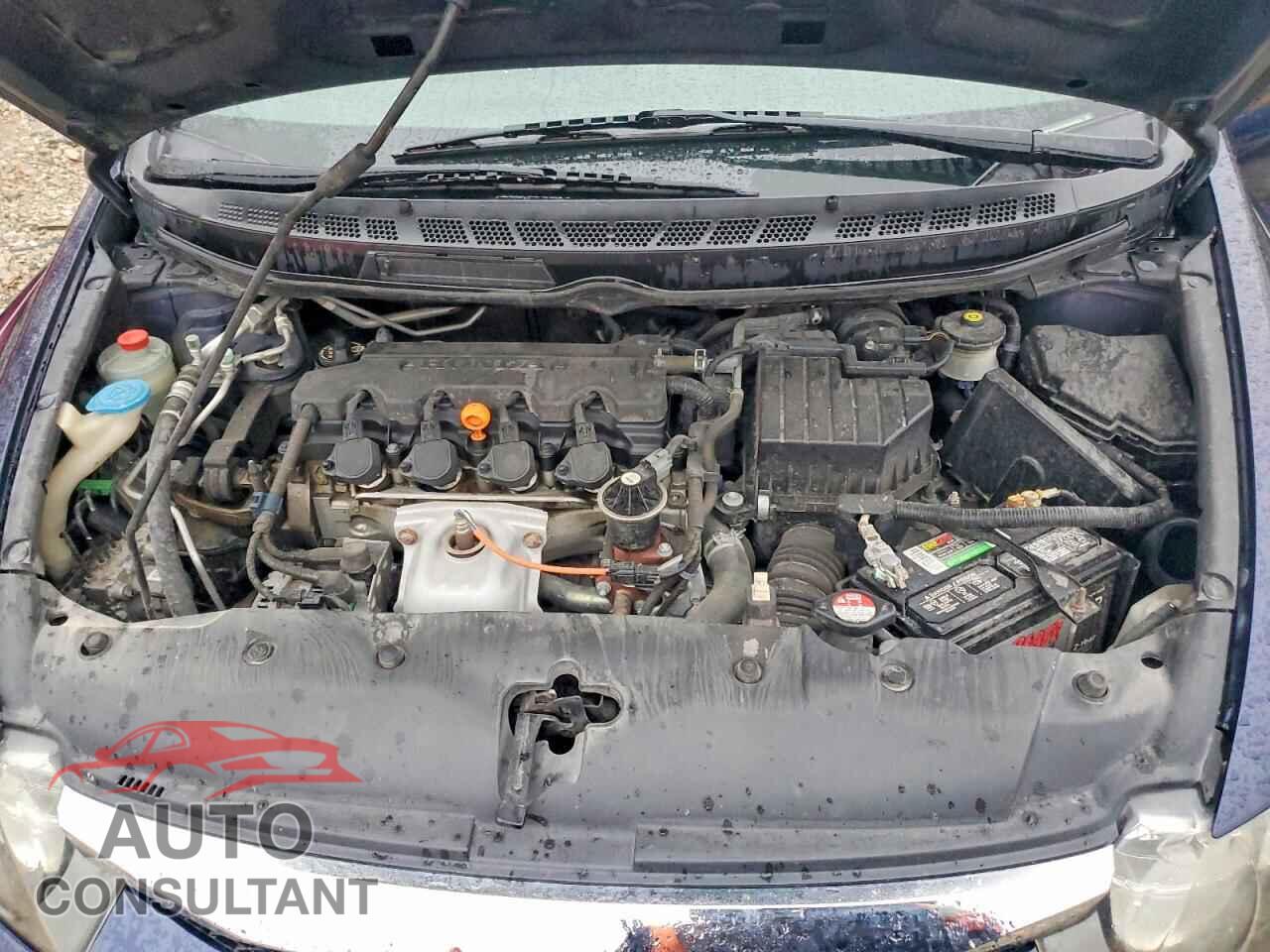 HONDA CIVIC 2010 - 19XFA1F5XAE048551