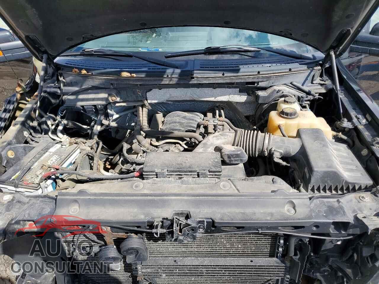 FORD F150 2012 - 1FTFX1EF9CFC63467