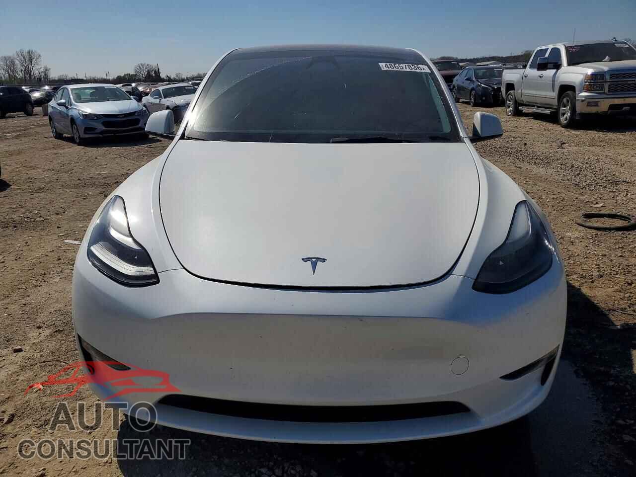 TESLA MODEL Y 2023 - 7SAYGDEF9PF810941