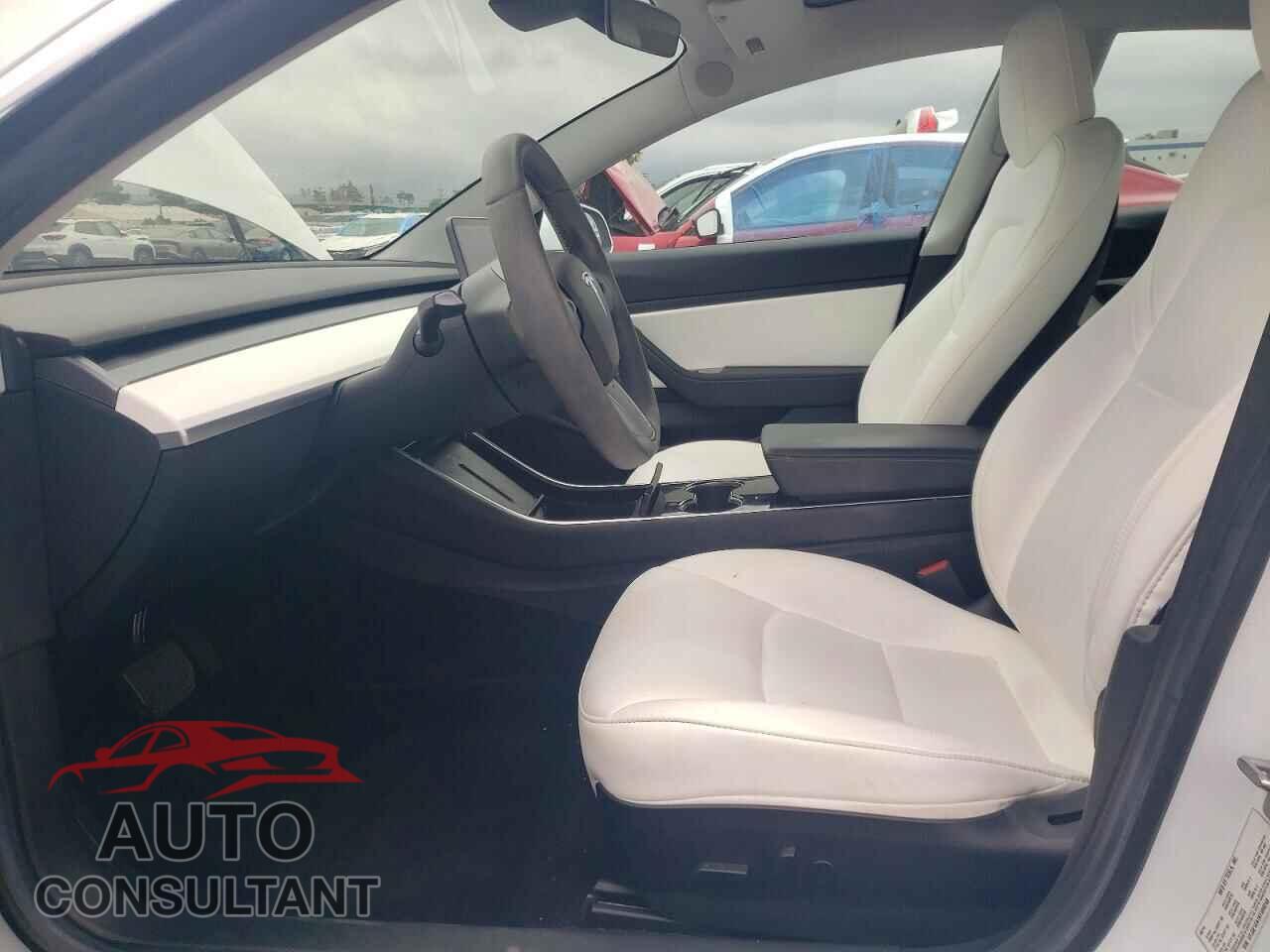 TESLA MODEL 3 2019 - 5YJ3E1EA1KF509248