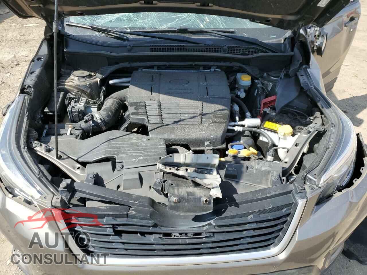 SUBARU FORESTER 2019 - JF2SKAGC4KH488528