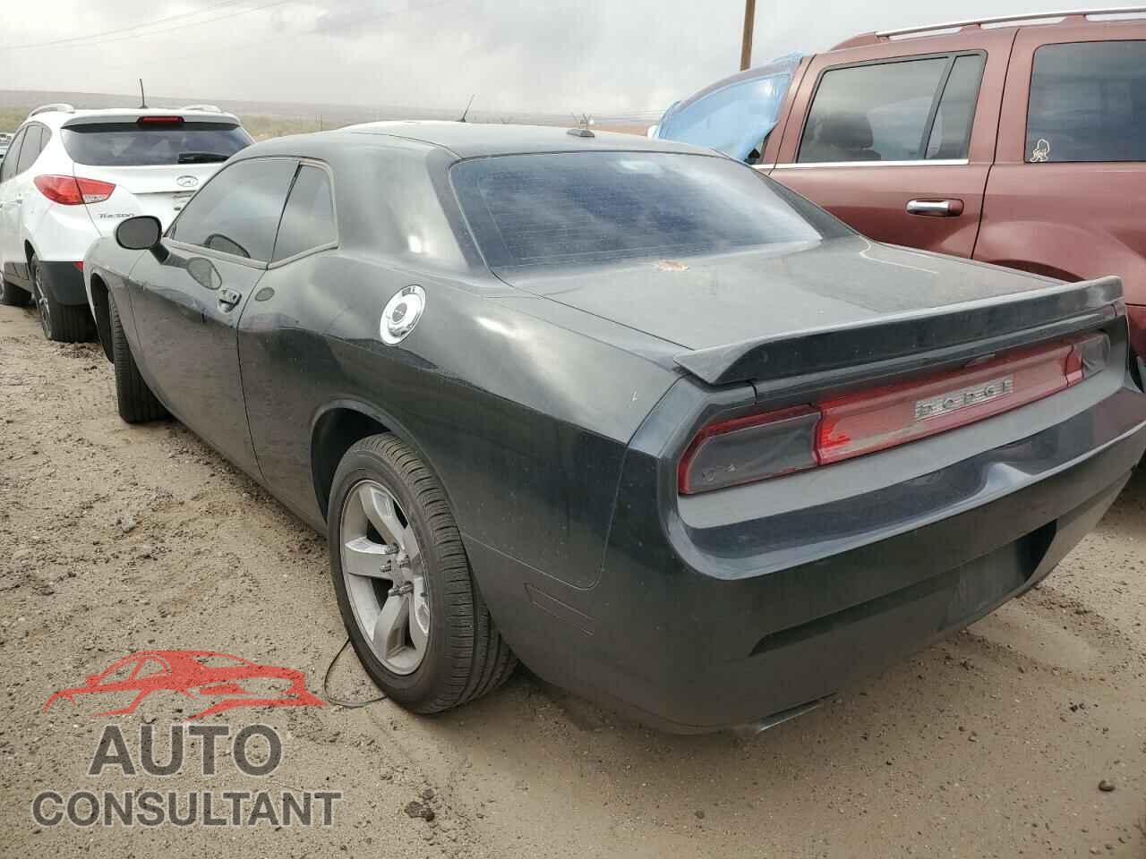 DODGE CHALLENGER 2013 - 2C3CDYAG7DH549518