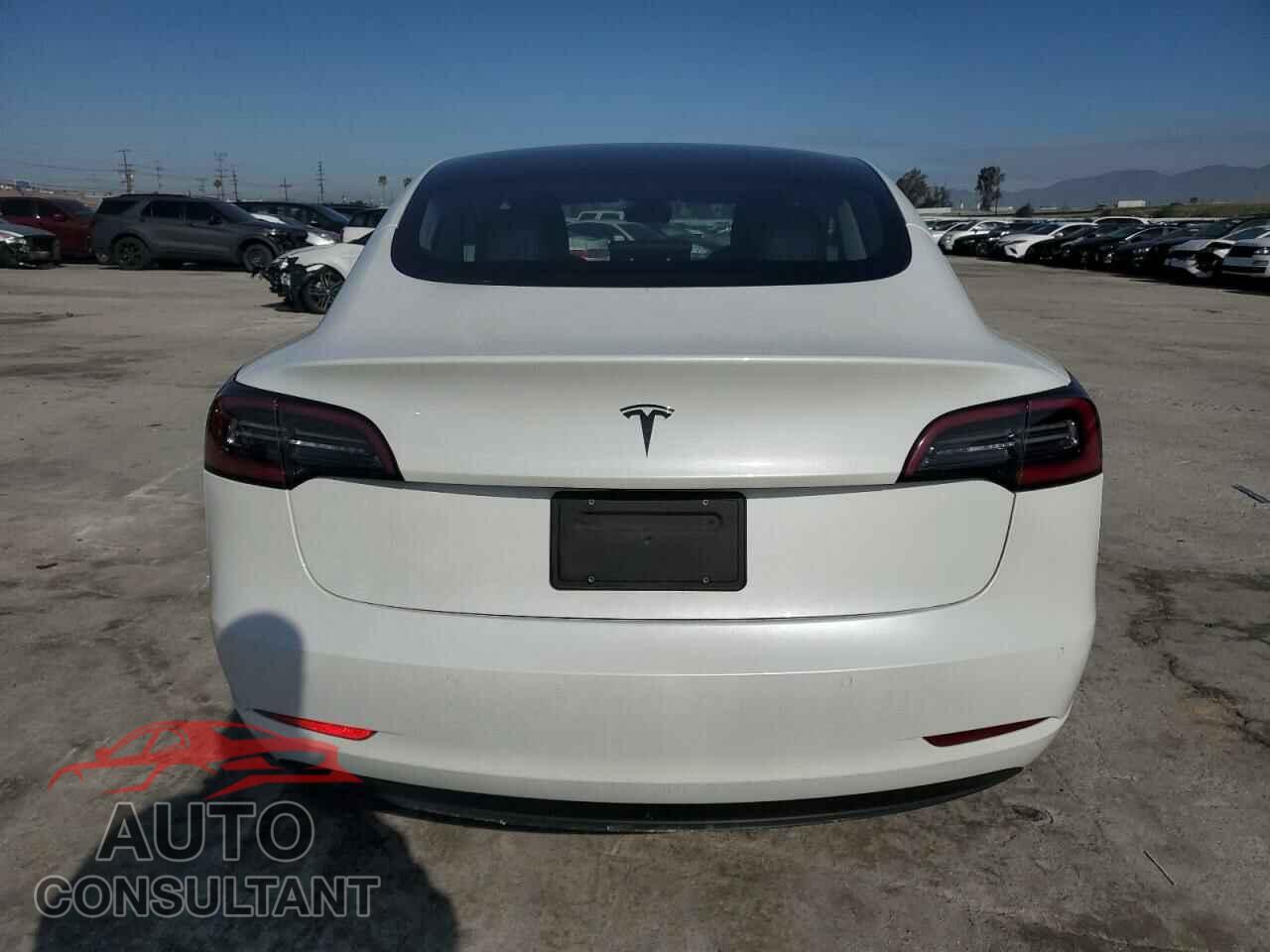 TESLA MODEL 3 2020 - 5YJ3E1EA5LF800062