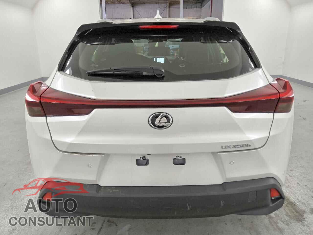LEXUS UNKNOWN 2024 - JTHX6JBH5R2176550
