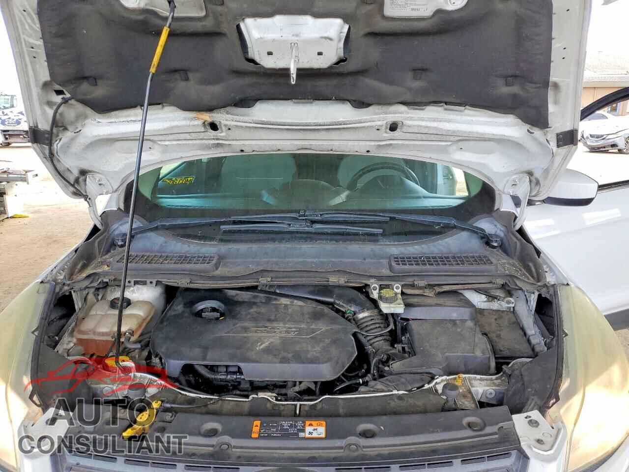 FORD ESCAPE 2014 - 1FMCU0GX4EUD88706