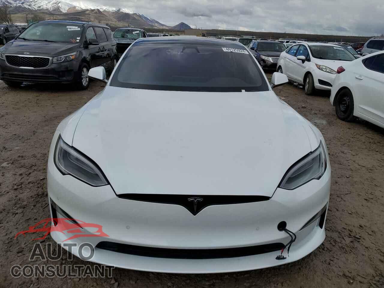 TESLA MODEL S 2021 - 5YJSA1E50MF439741