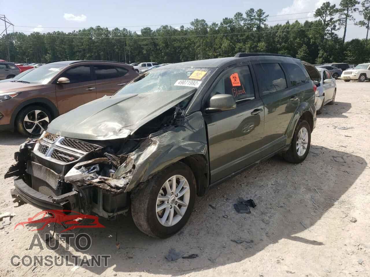 DODGE JOURNEY 2019 - 3C4PDCBB5KT756156