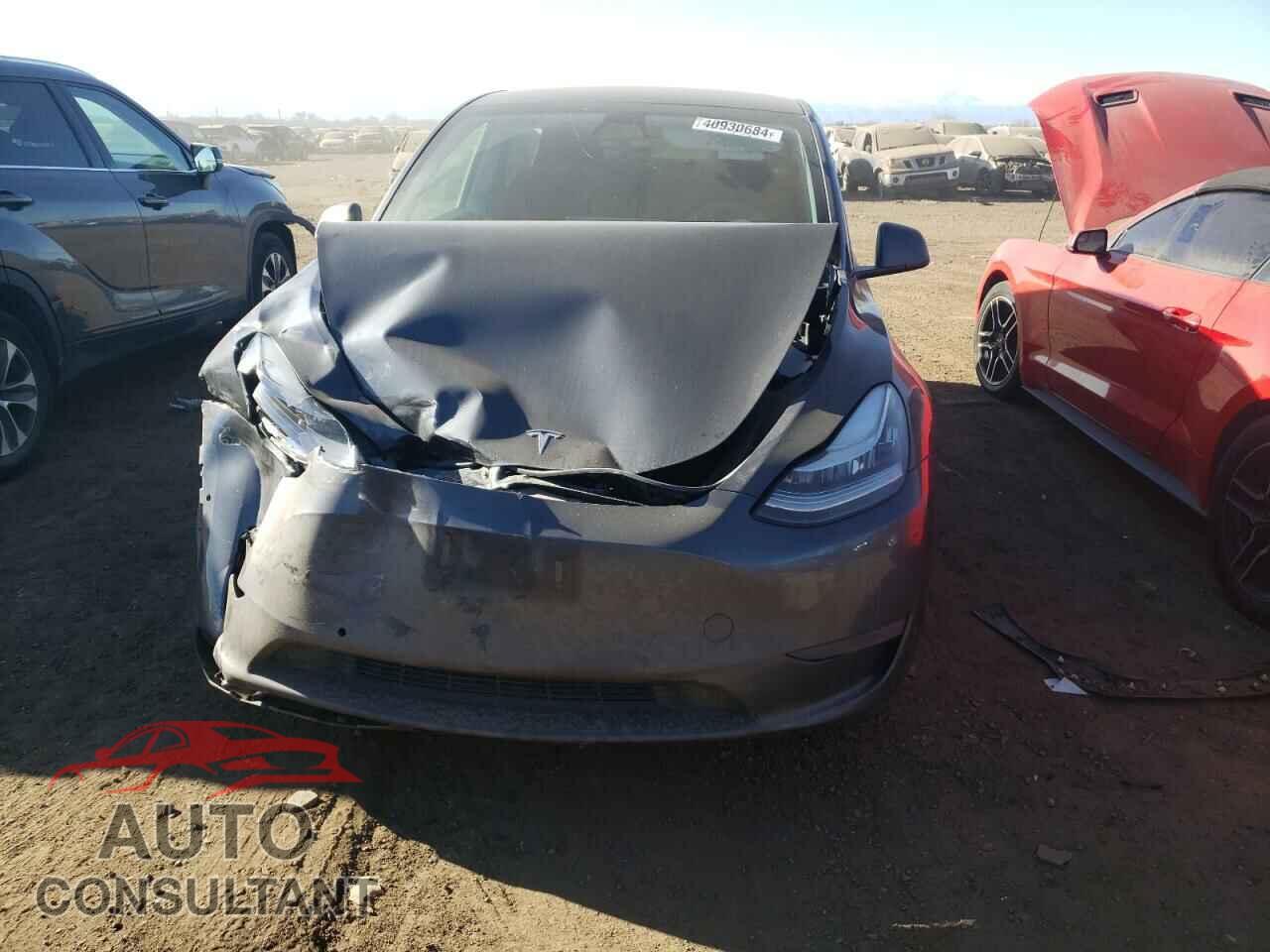 TESLA MODEL Y 2022 - 7SAYGDEE2NF448505