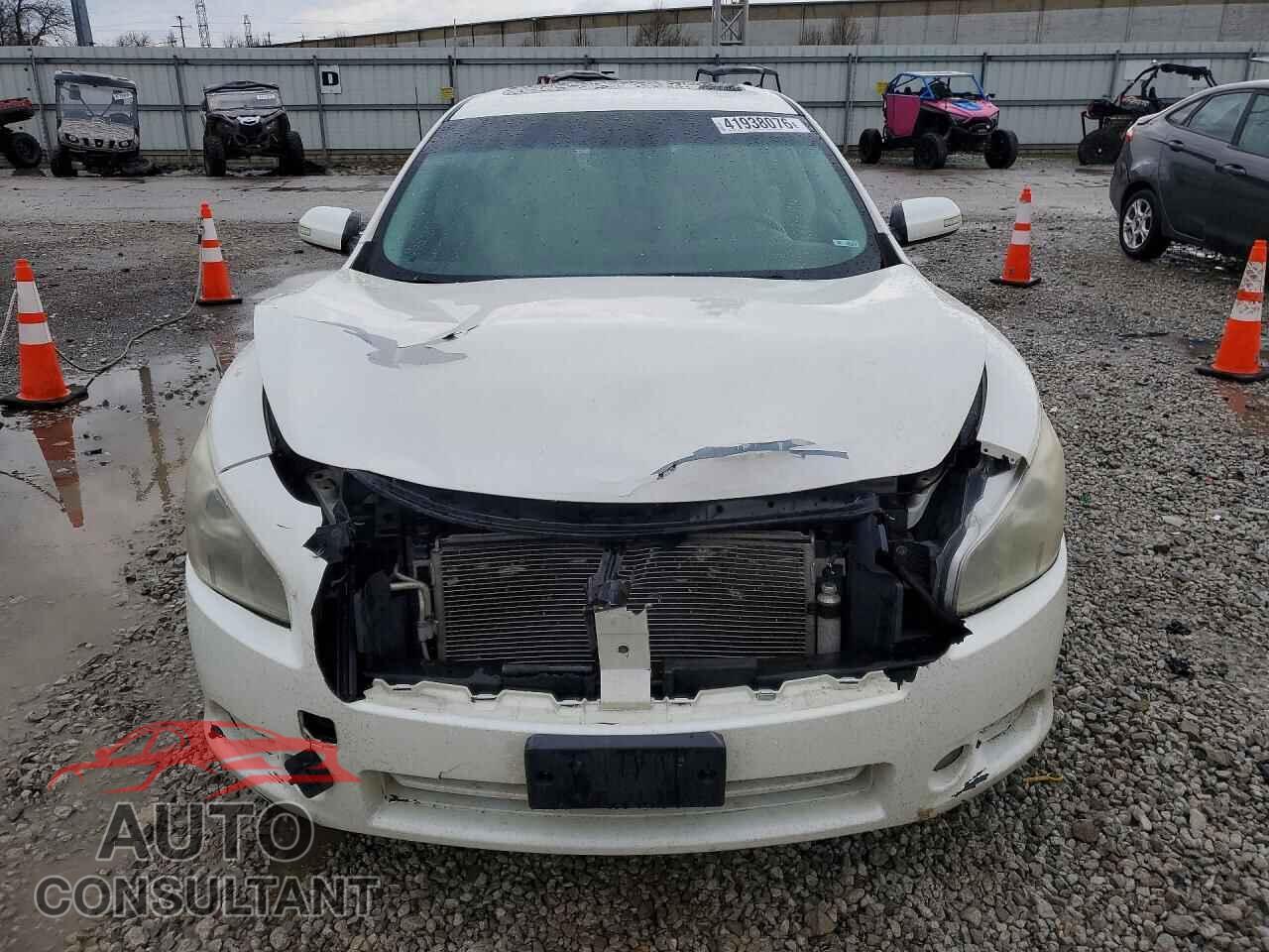 NISSAN MAXIMA 2011 - 1N4AA5AP1BC846154