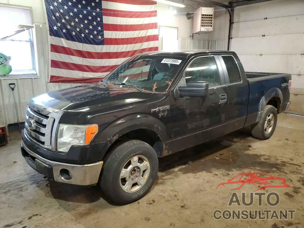 FORD F-150 2011 - 1FTFX1EF6BFA29379