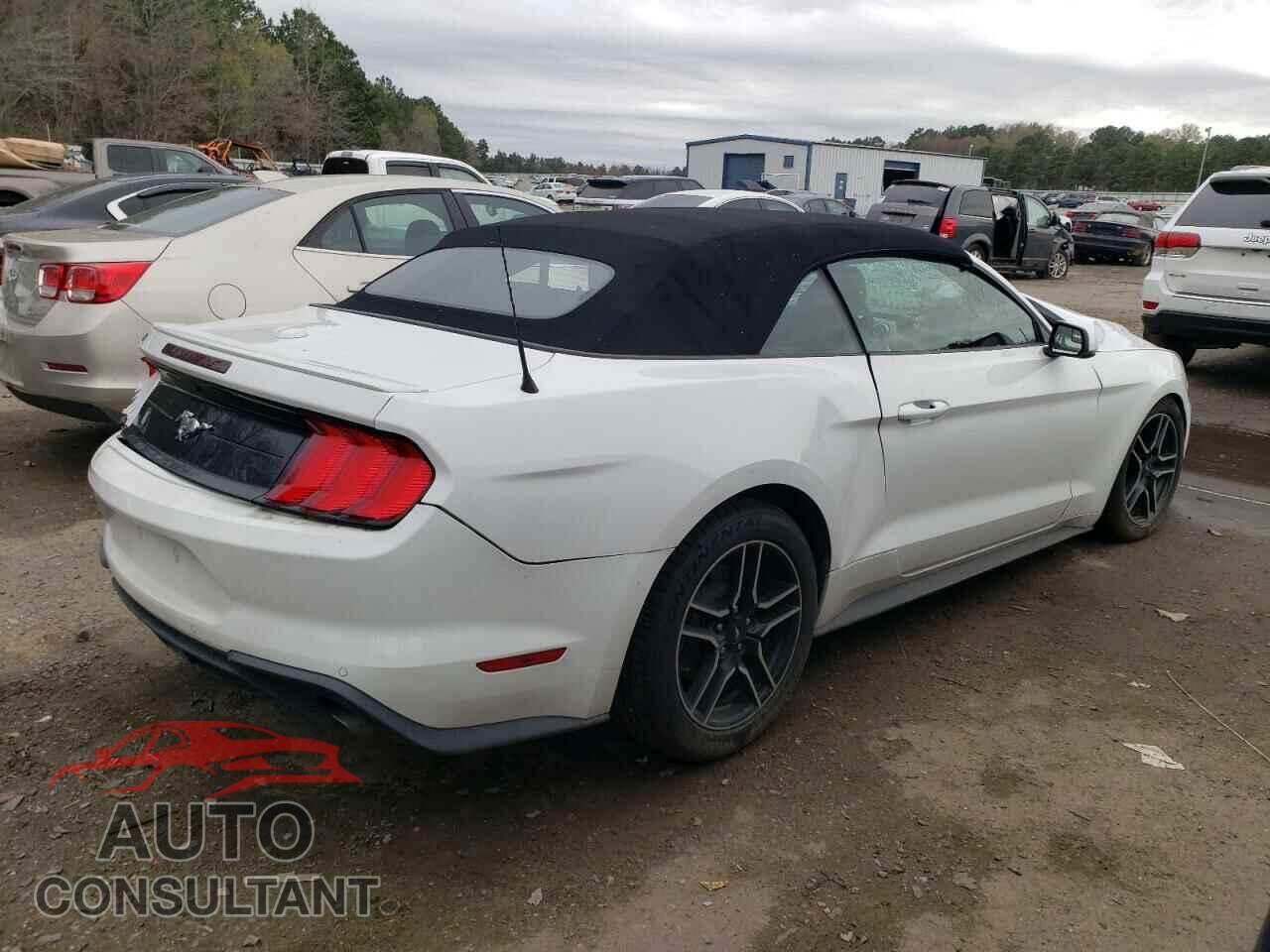 FORD MUSTANG 2019 - 1FATP8UHXK5153309