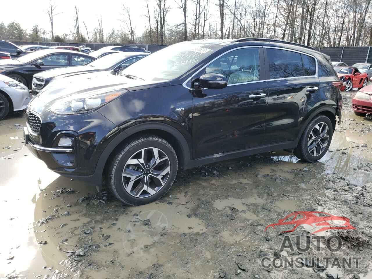 KIA SPORTAGE 2022 - KNDPNCAC6N7955670