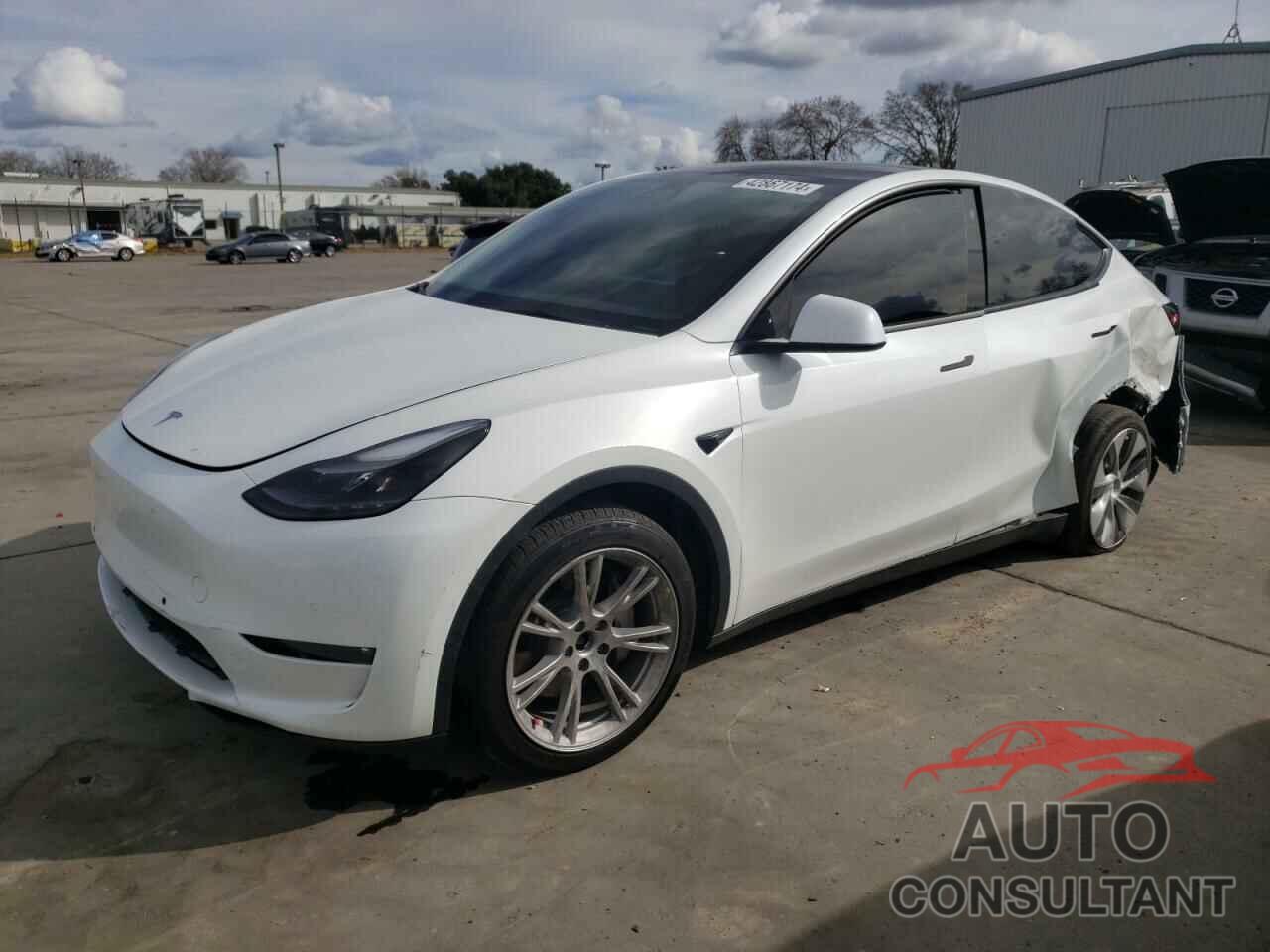 TESLA MODEL Y 2022 - 7SAYGAEE6NF551988