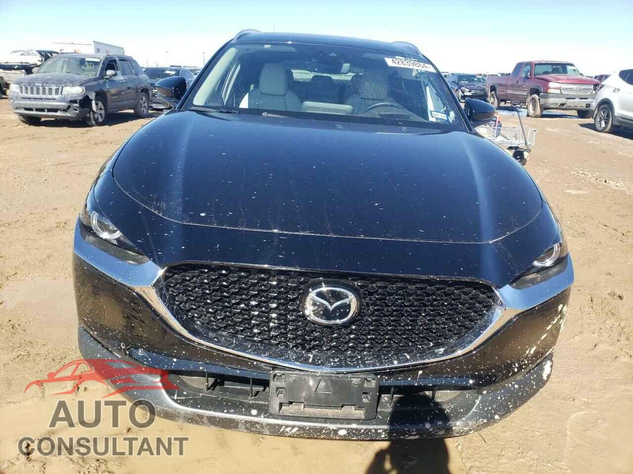 MAZDA CX30 2023 - 3MVDMBDY9PM565533