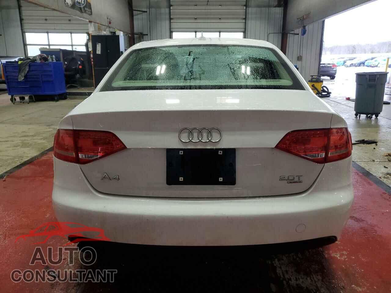 AUDI A4 2010 - WAUFFAFL3AN044009