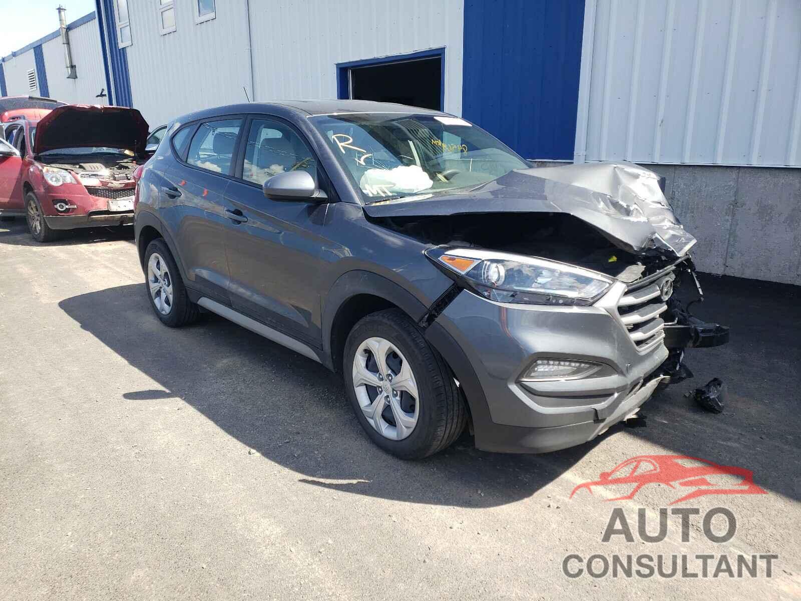HYUNDAI TUCSON 2017 - KM8J2CA49HU566837