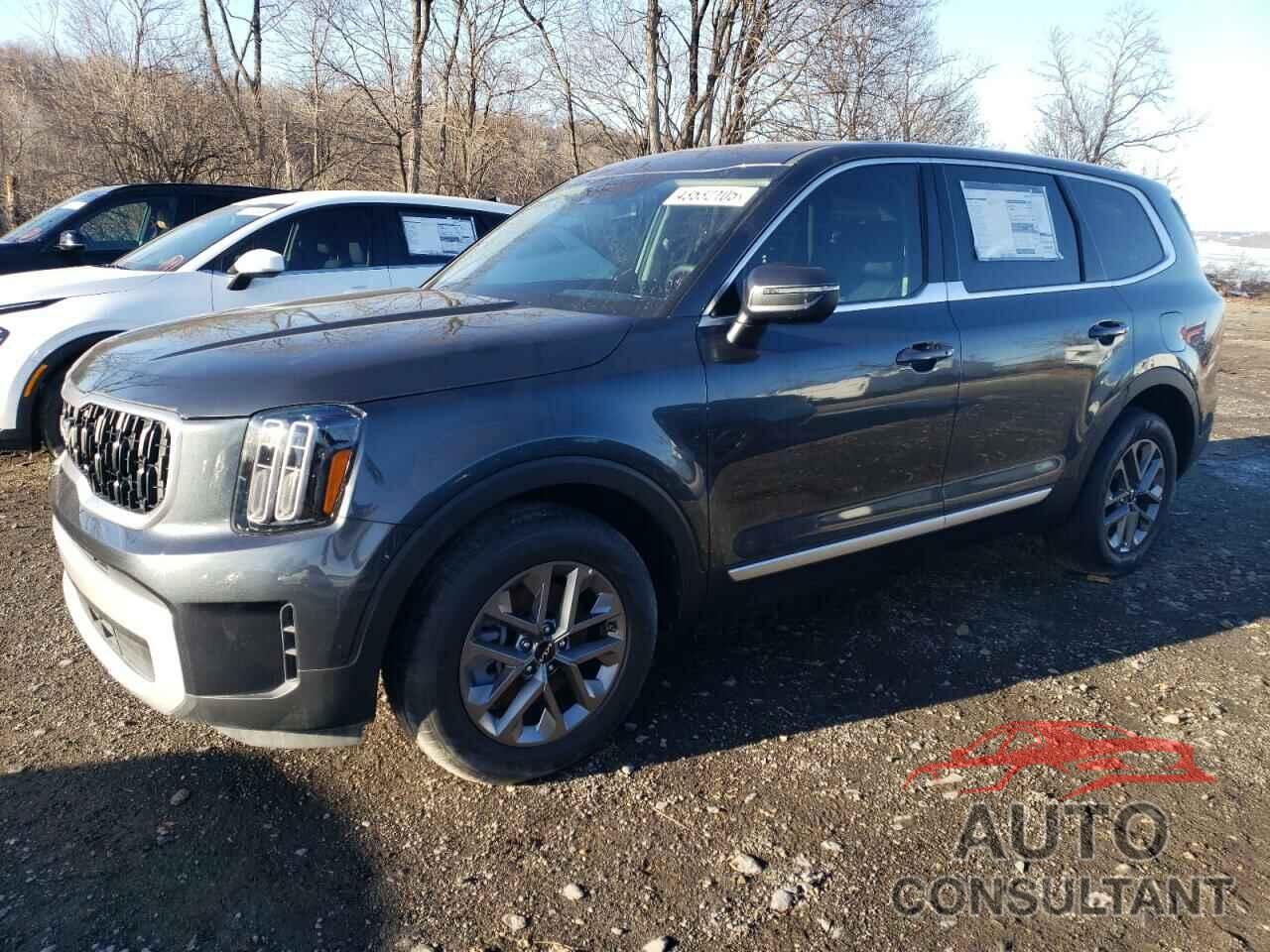 KIA TELLURIDE 2024 - 5XYP24GC1RG553134
