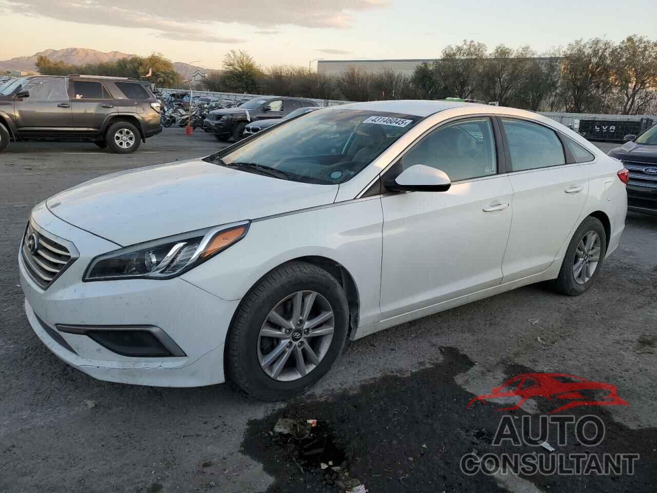 HYUNDAI SONATA 2017 - 5NPE24AF5HH507100