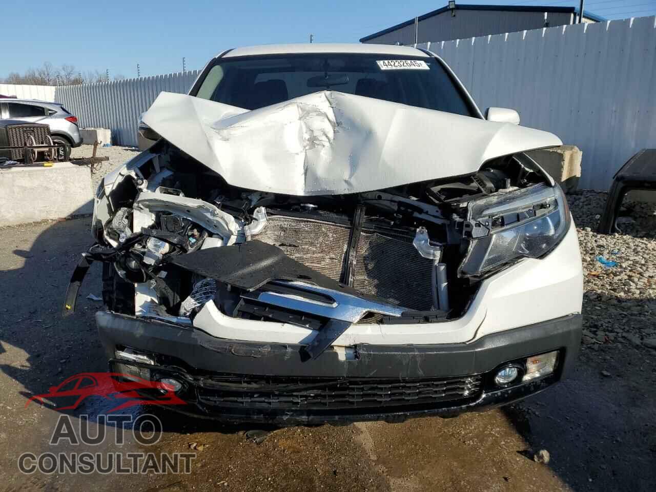 HONDA RIDGELINE 2019 - 5FPYK3F17KB044104