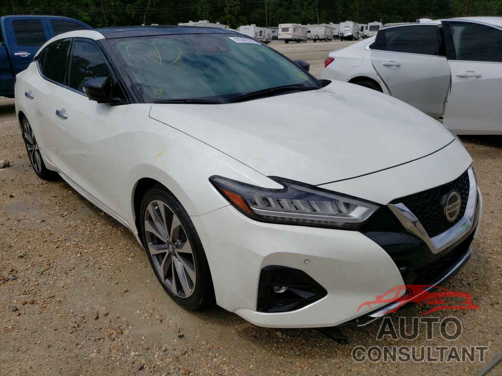 NISSAN MAXIMA 2019 - 1N4AA6AV7KC380718