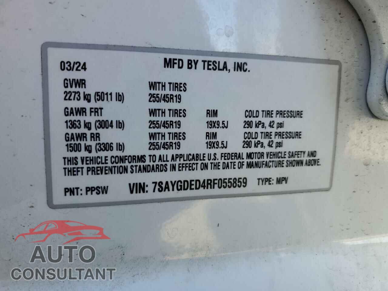 TESLA MODEL Y 2024 - 7SAYGDED4RF055859