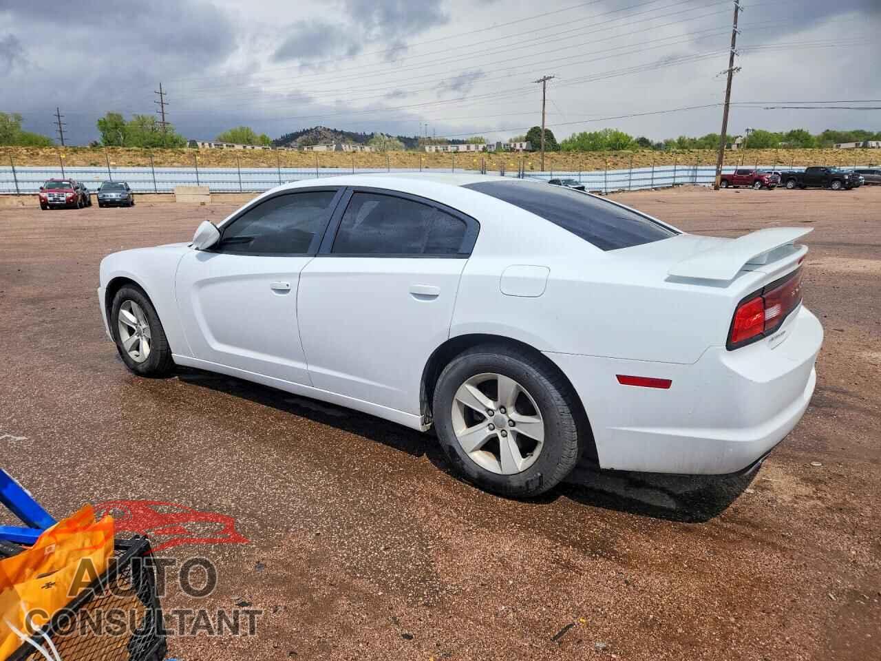 DODGE CHARGER 2014 - 2C3CDXBG5EH366385