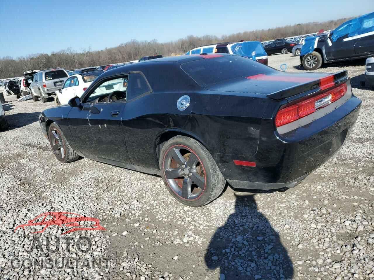 DODGE CHALLENGER 2013 - 2C3CDYAG4DH665999