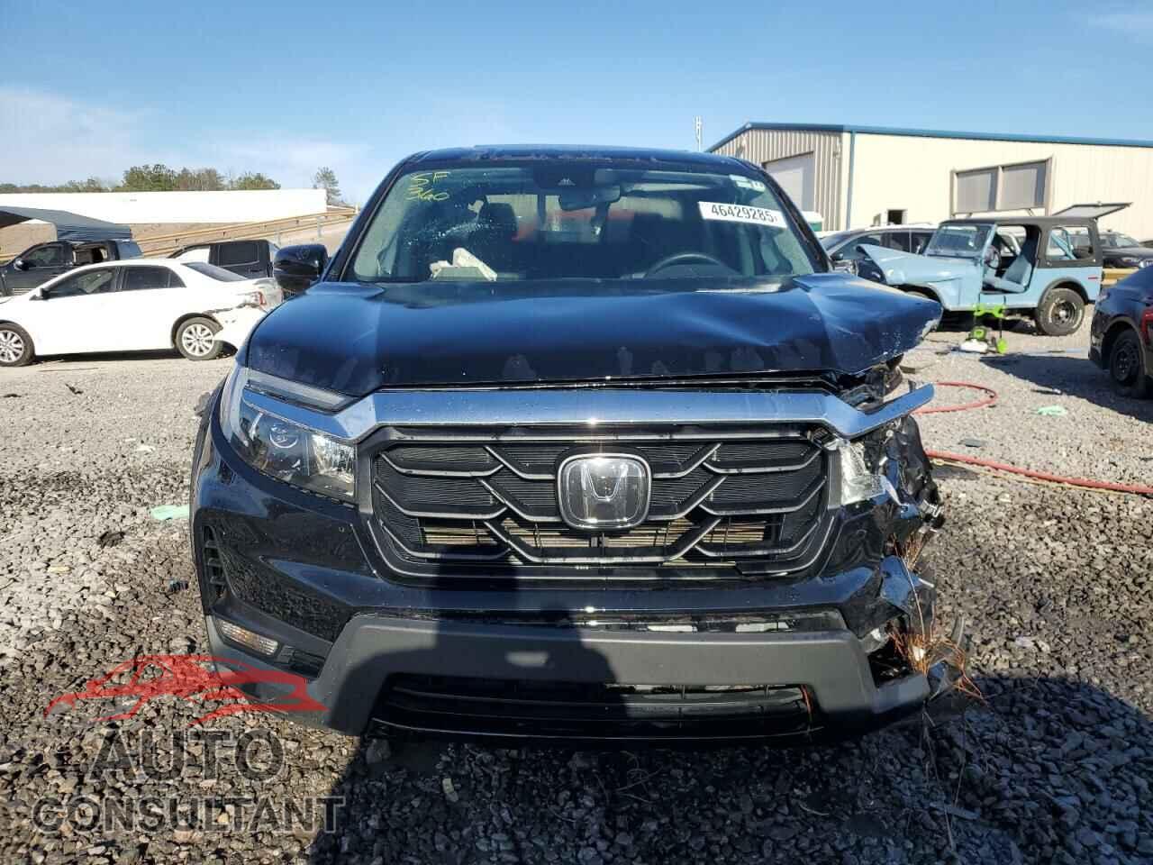 HONDA RIDGELINE 2021 - 5FPYK3F70MB010030