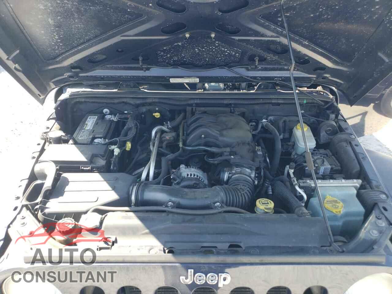 JEEP WRANGLER 2013 - 1C4AJWAG5DL530145