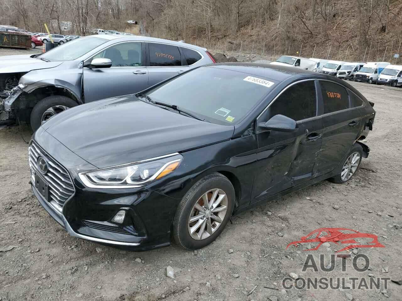HYUNDAI SONATA 2019 - 5NPE24AF2KH818720