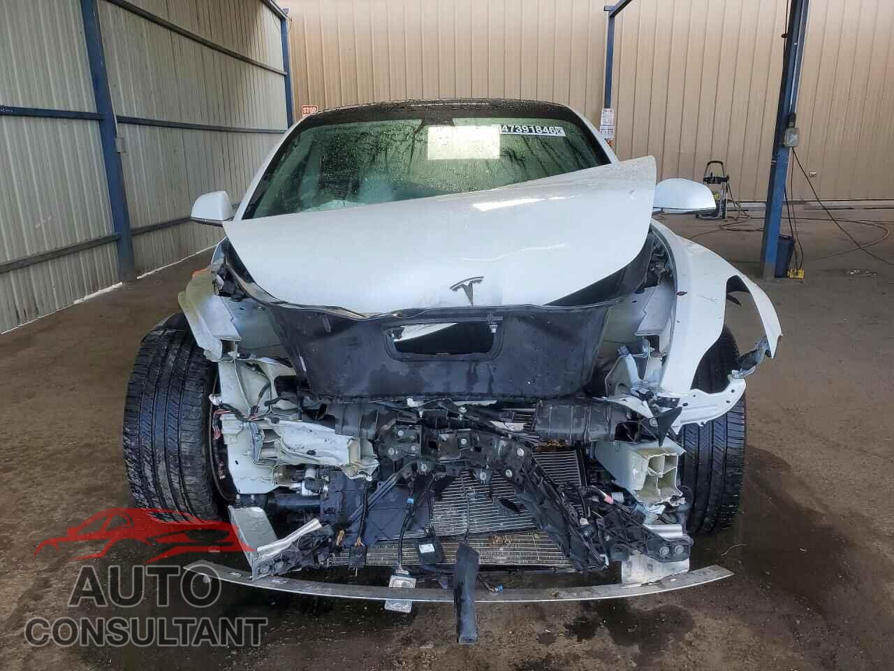 TESLA MODEL 3 2019 - 5YJ3E1EB1KF392487