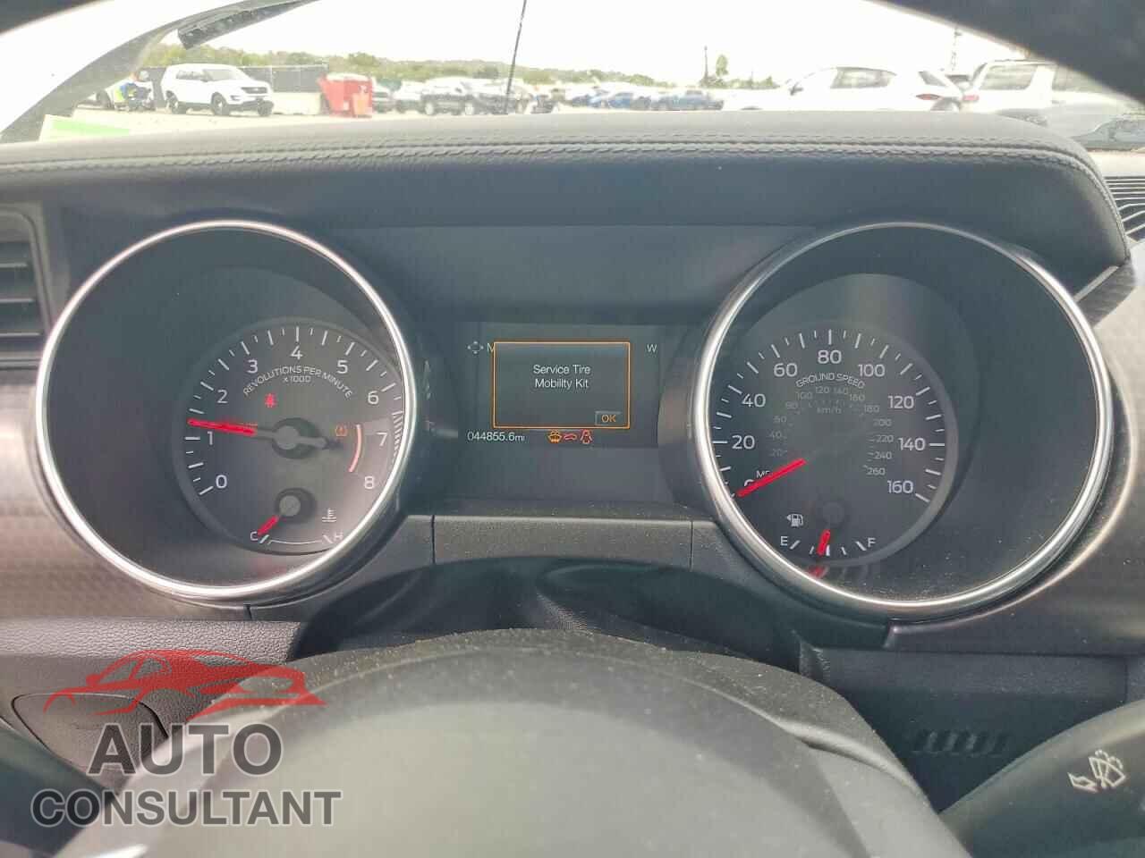 FORD ALL Models 2019 - 1FA6P8TH5K5124511