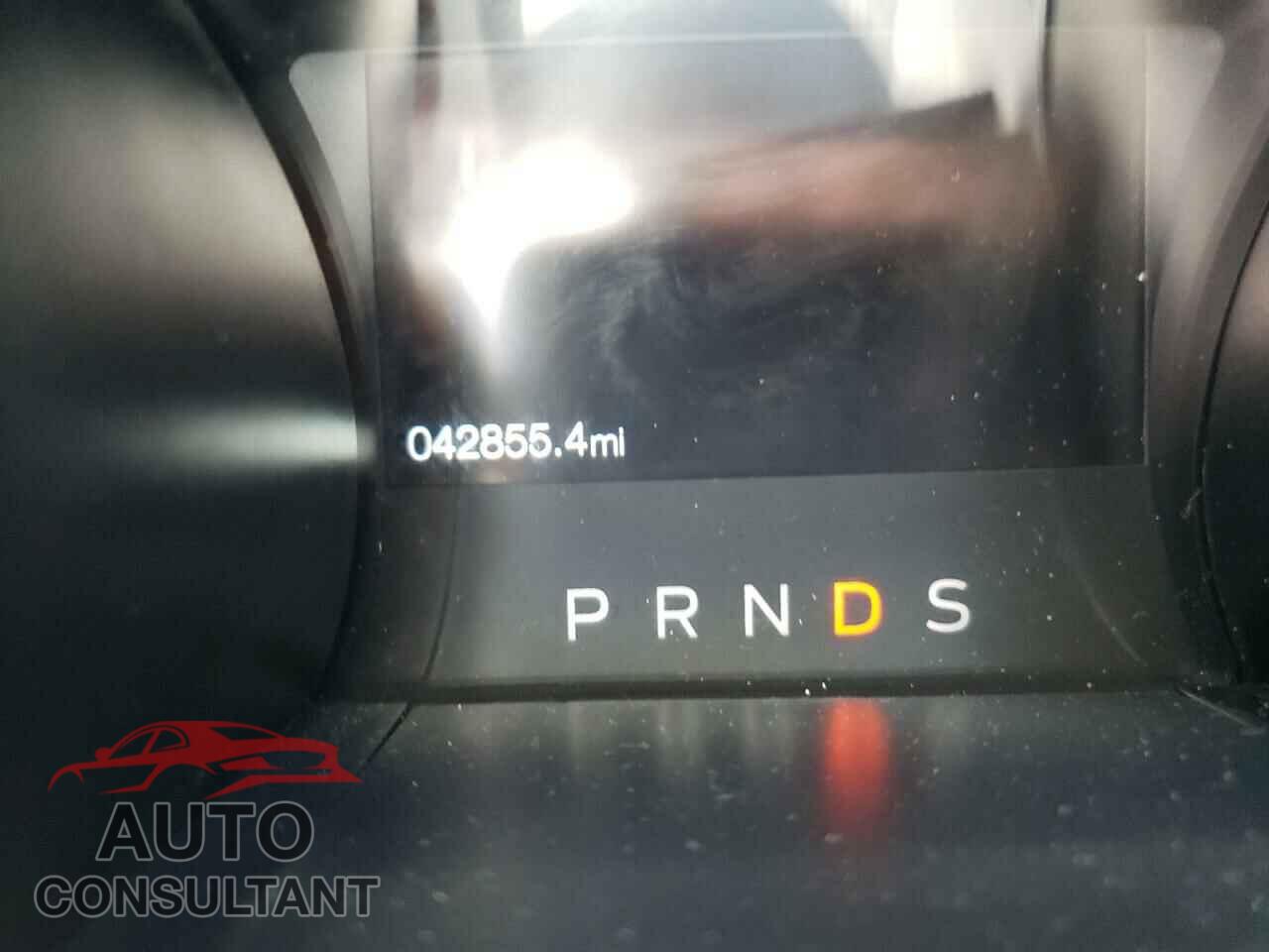 FORD MUSTANG 2019 - 1FA6P8TH1K5199464