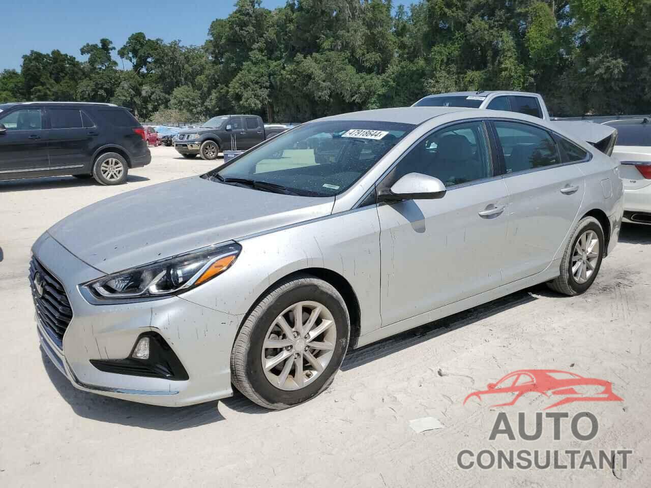 HYUNDAI SONATA 2019 - 5NPE24AF0KH763183