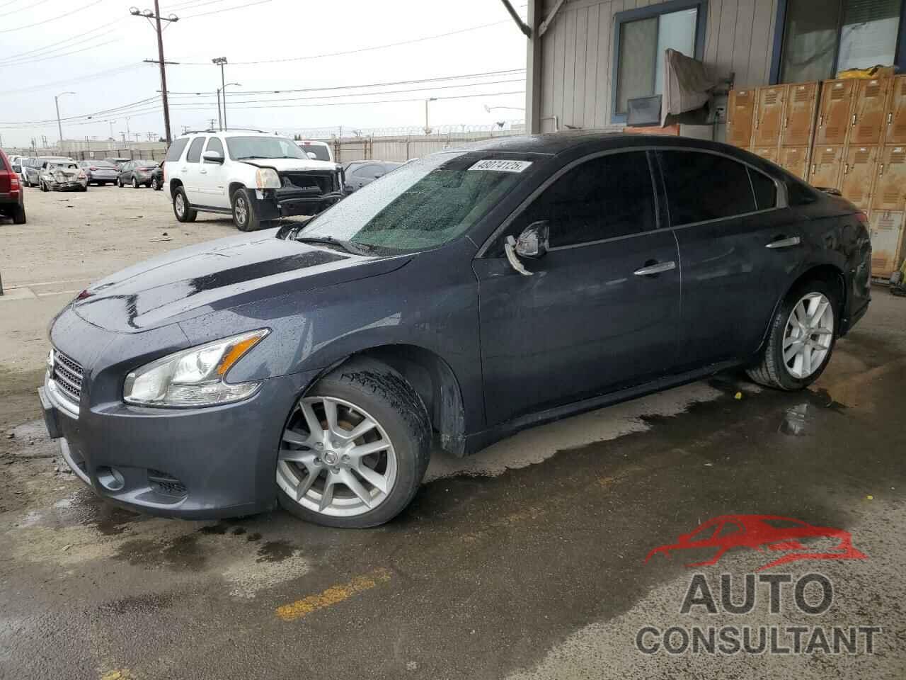 NISSAN MAXIMA 2009 - 1N4AA51E99C831202
