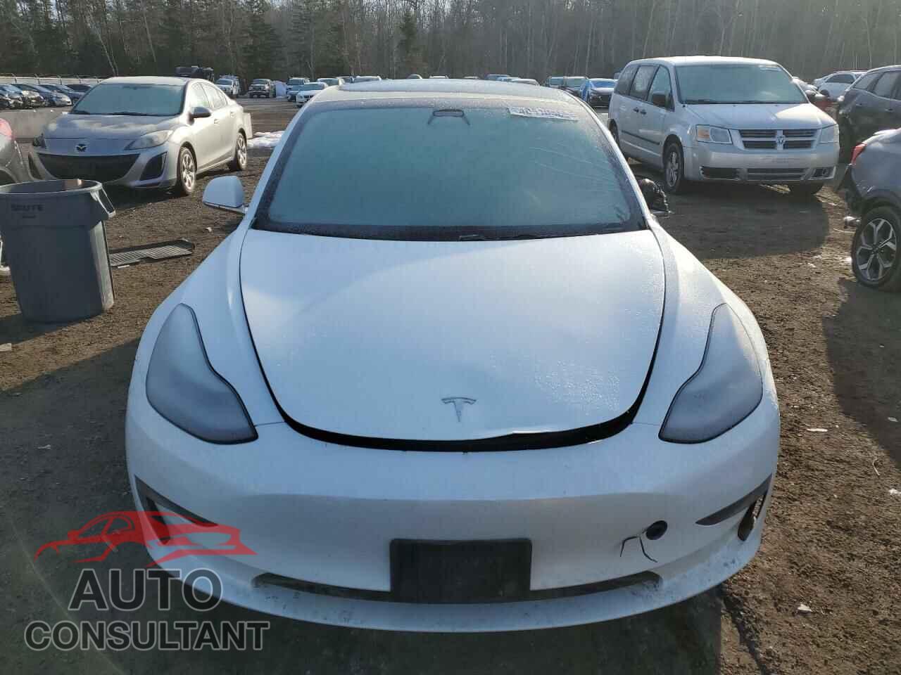 TESLA MODEL 3 2020 - 5YJ3E1EA4LF734460
