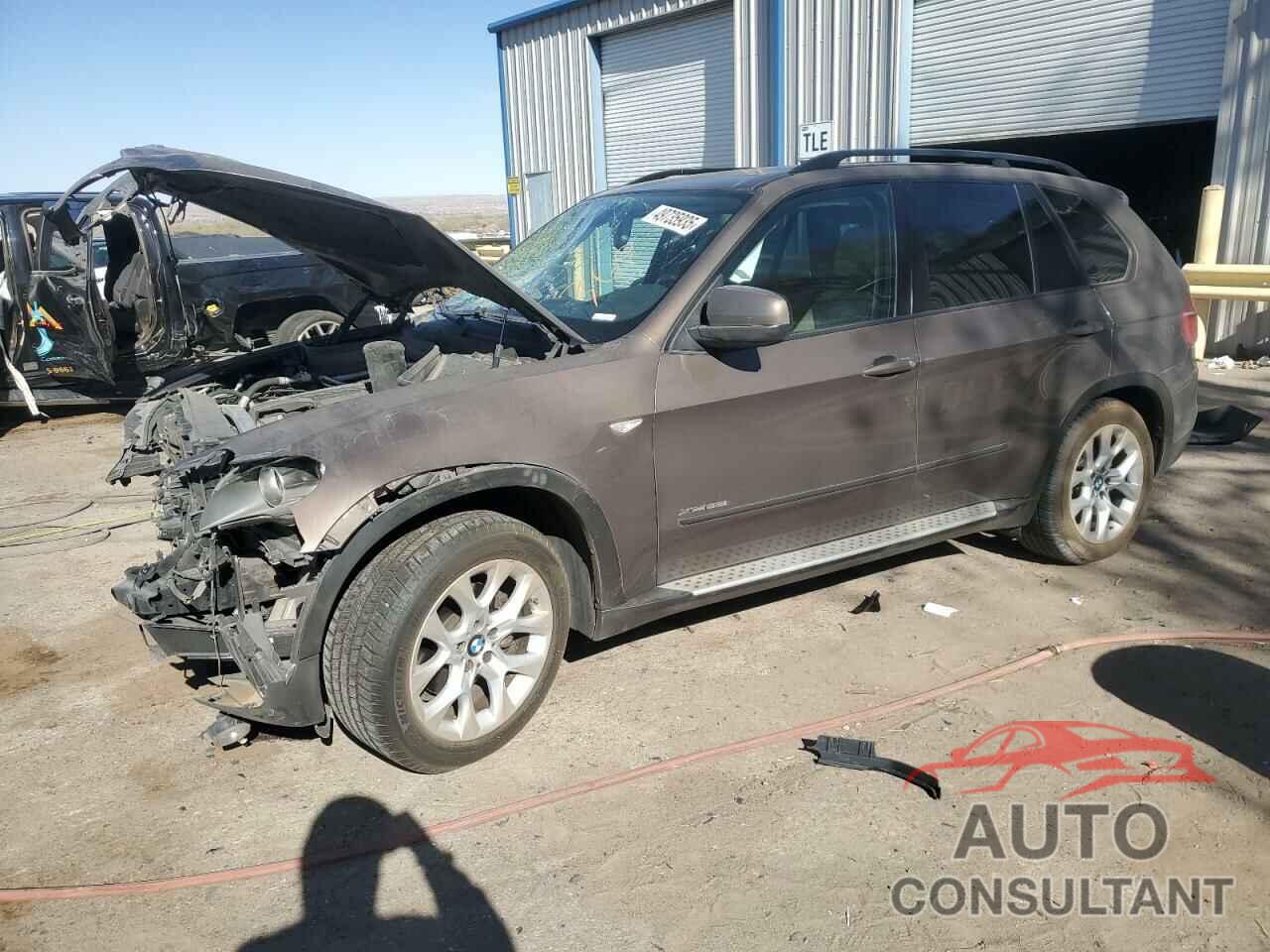 BMW X5 2011 - 5UXZV4C51BL410295
