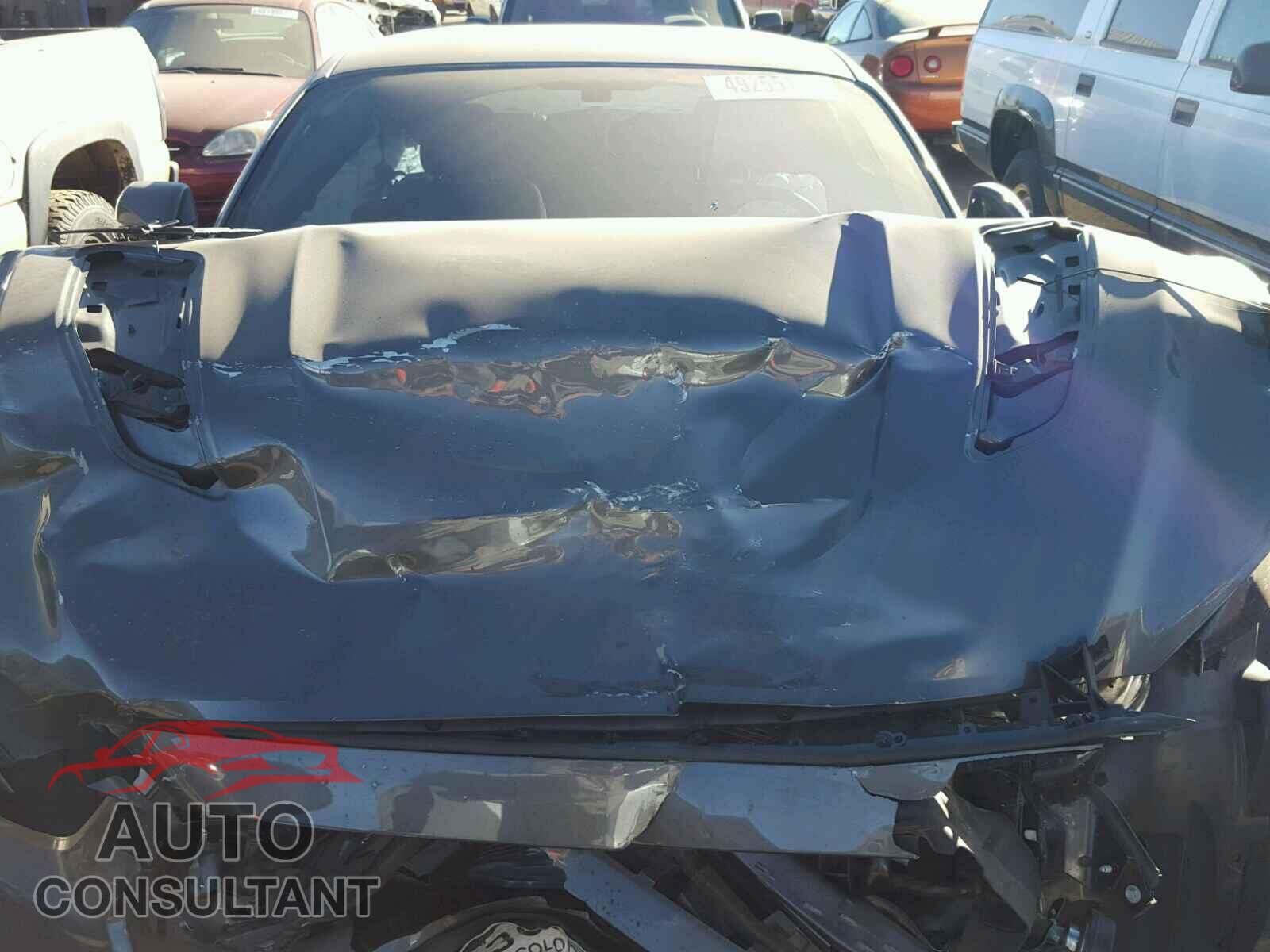 FORD MUSTANG 2017 - 1FA6P8CF5H5240928