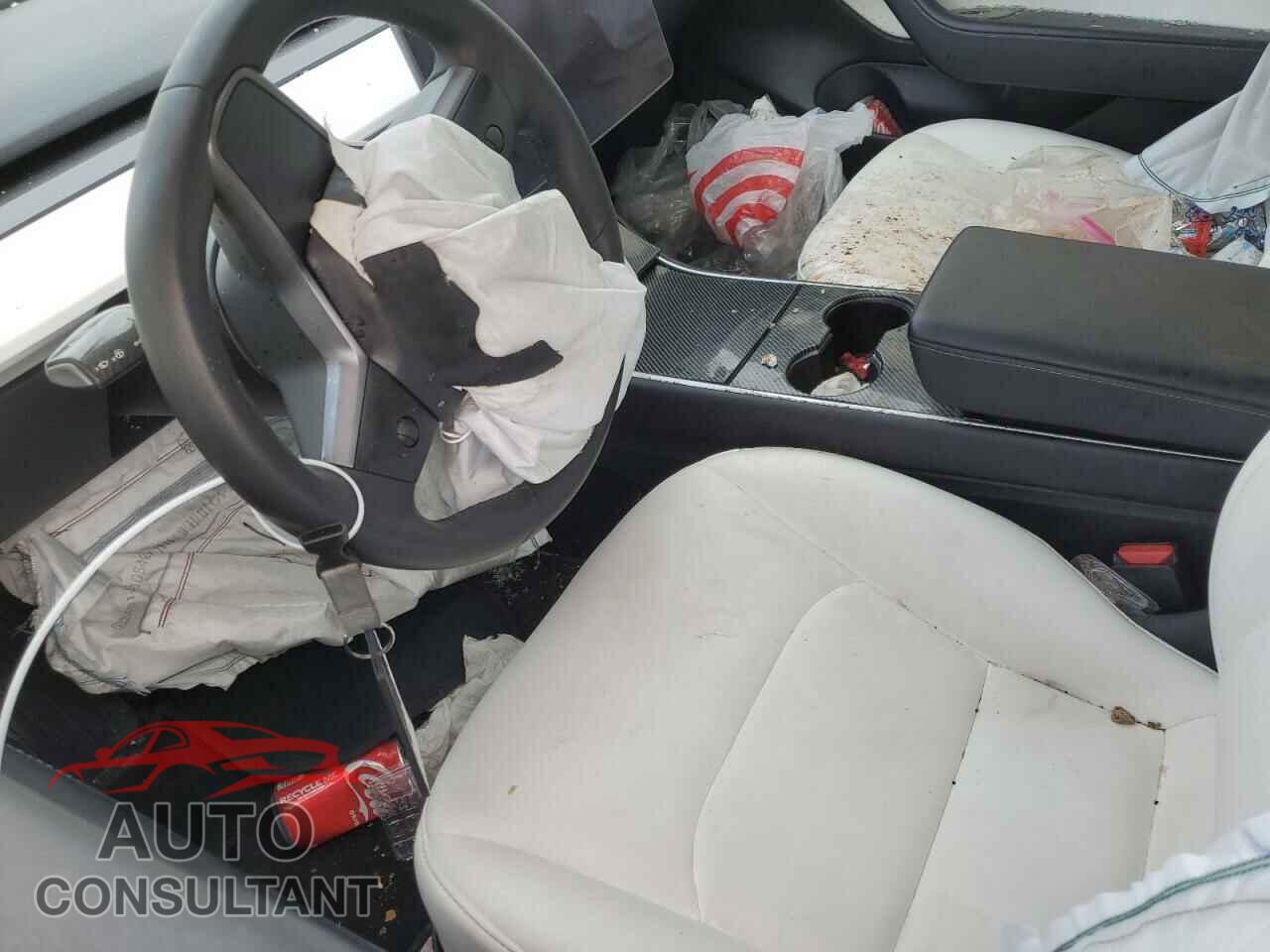 TESLA MODEL 3 2019 - 5YJ3E1EB4KF442461