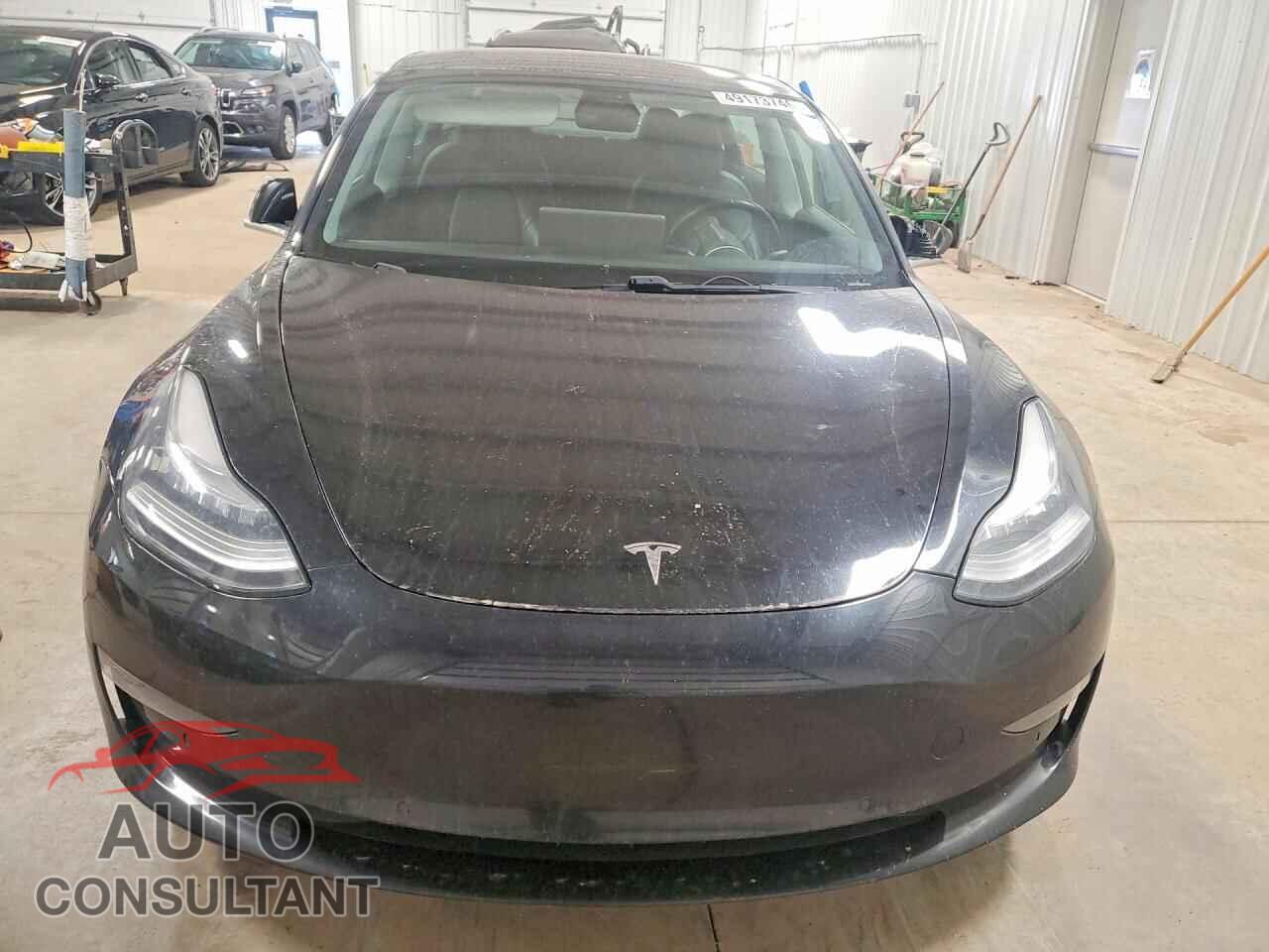 TESLA MODEL 3 2019 - 5YJ3E1EB5KF385669