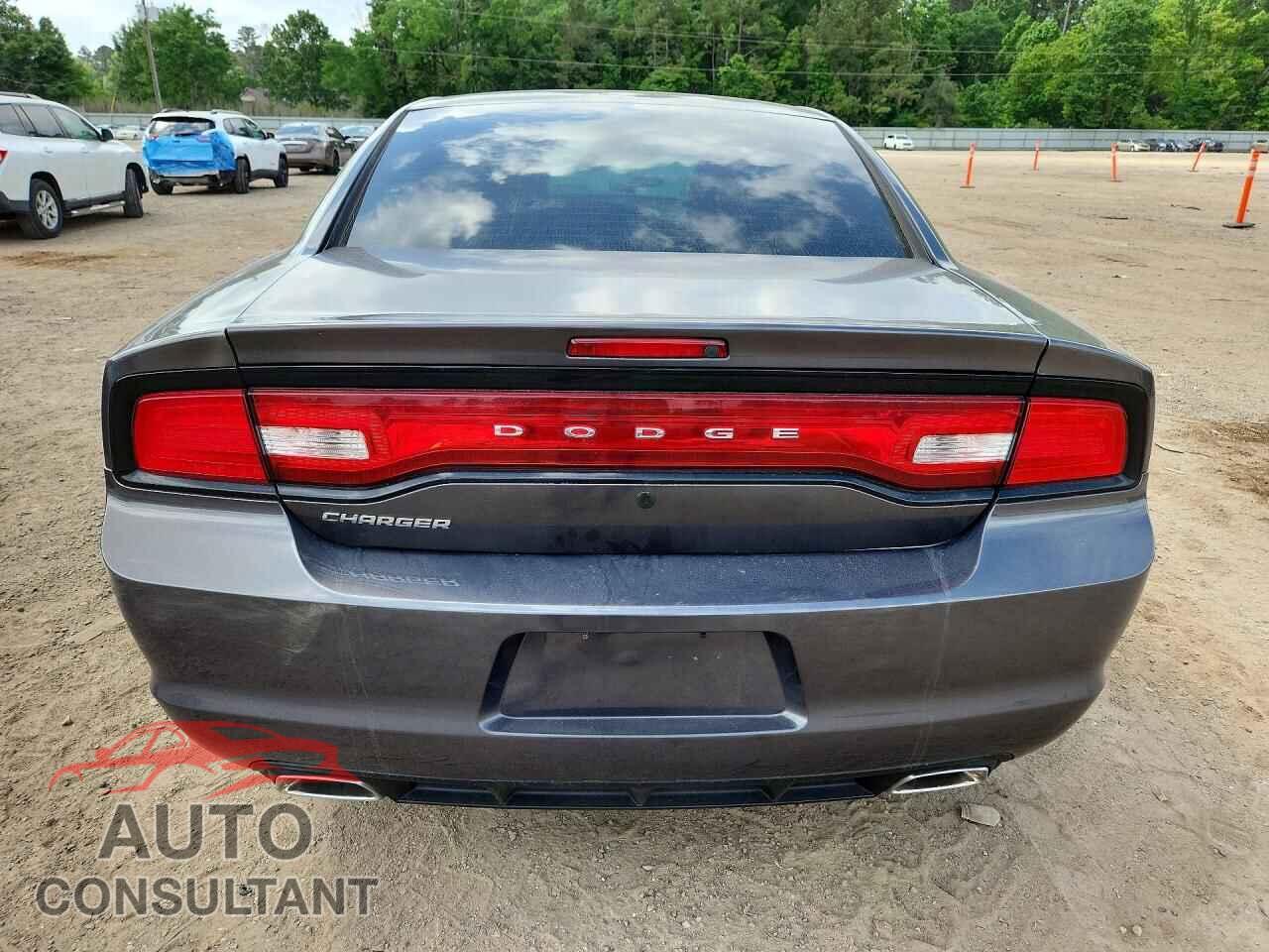 DODGE CHARGER 2013 - 2C3CDXAG2DH689969