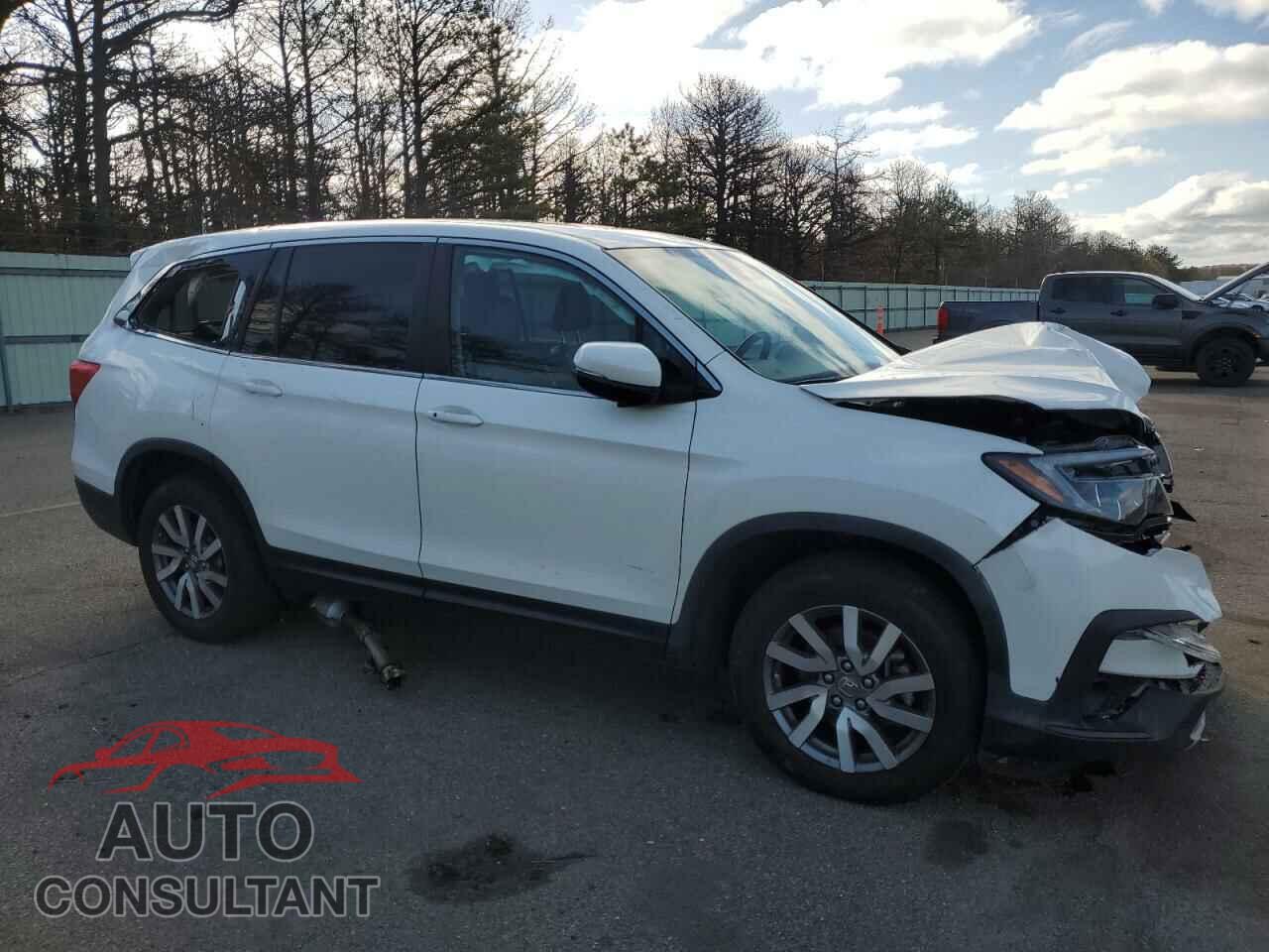 HONDA PILOT 2019 - 5FNYF6H50KB076830