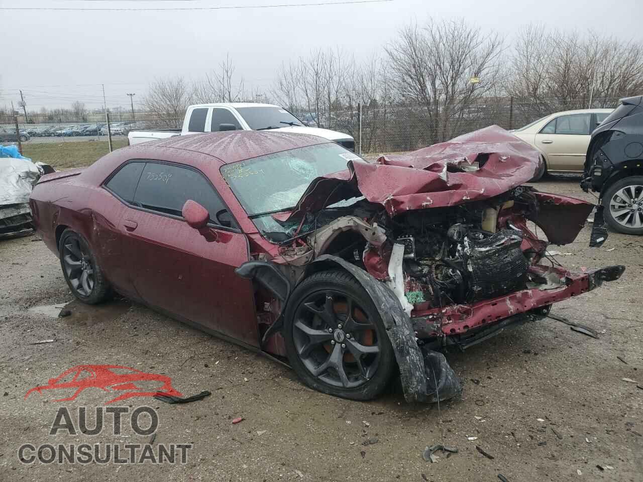 DODGE CHALLENGER 2019 - 2C3CDZBT6KH750504