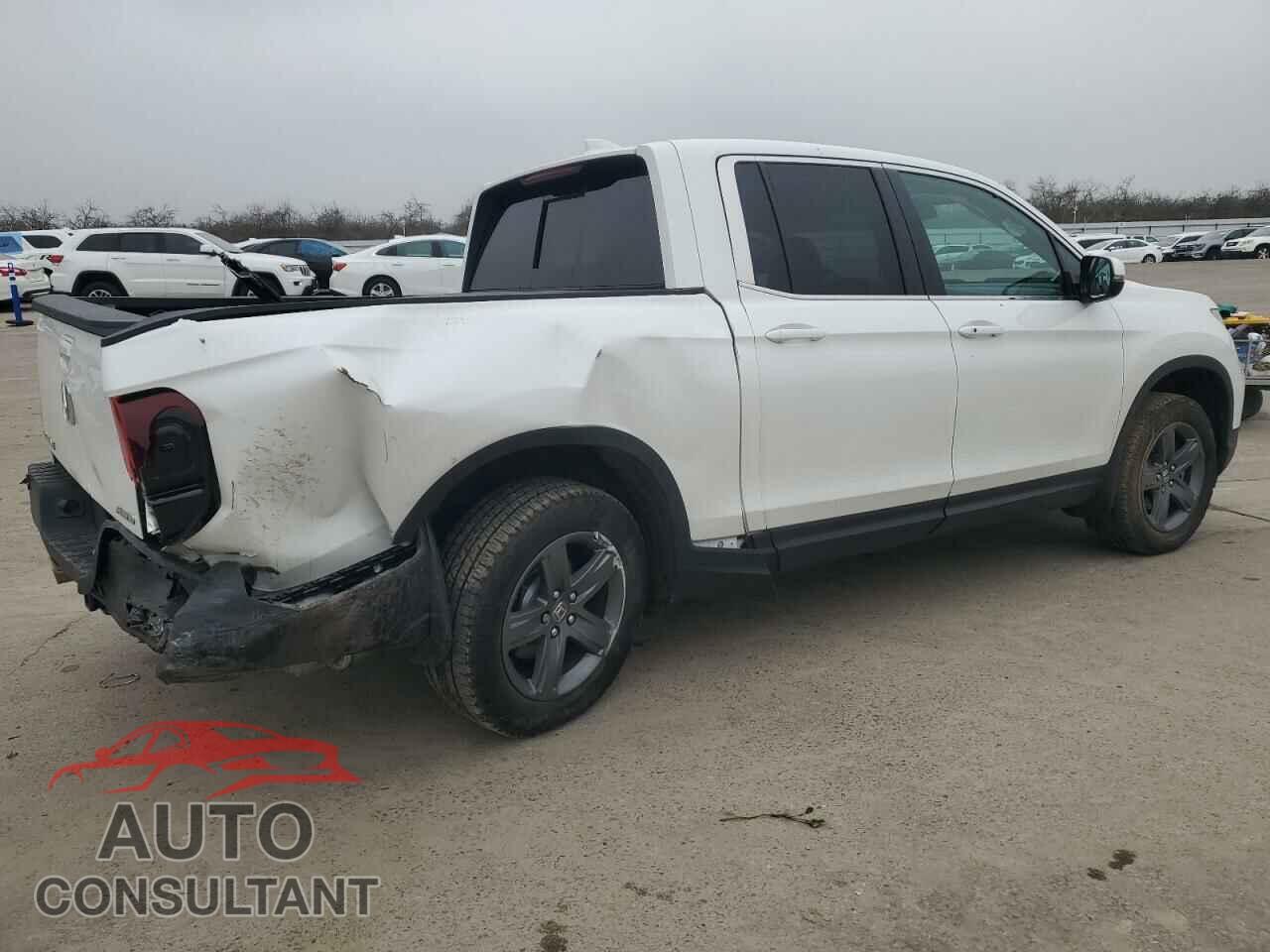HONDA RIDGELINE 2023 - 5FPYK3F59PB013835